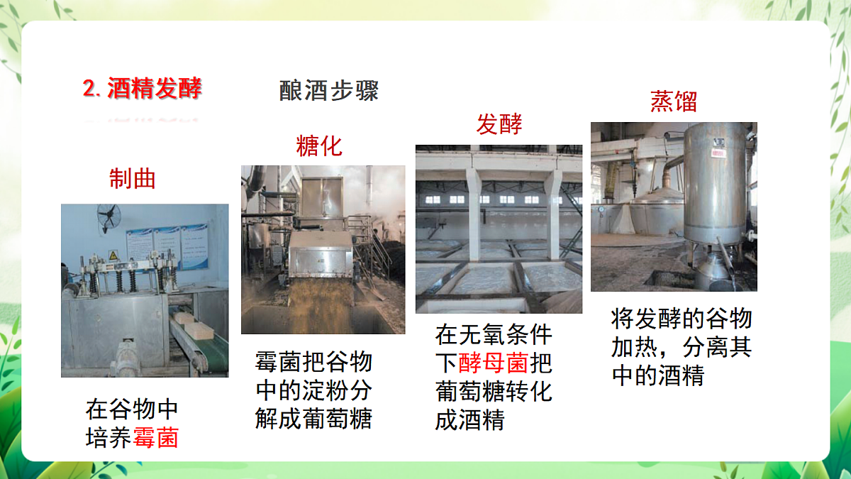 北师大版生物八下8.25.1《发酵技术》 课件第8页