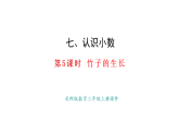 7.5 竹子的生長(zhǎng)(課件)2025-2026學(xué)年度北師大版數(shù)學(xué)三年級(jí)上冊(cè)