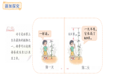 7.5 竹子的生長(zhǎng)(課件)2025-2026學(xué)年度北師大版數(shù)學(xué)三年級(jí)上冊(cè)