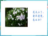 新教科版（2017）科學(xué)六上1.1《放大鏡》課件+教案+學(xué)習(xí)任務(wù)單+課后練習(xí)+素材
