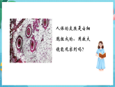 新教科版（2017）科學(xué)六上1.2《怎樣放得更大》課件+教案+學(xué)習(xí)任務(wù)單+課后練習(xí)+素材