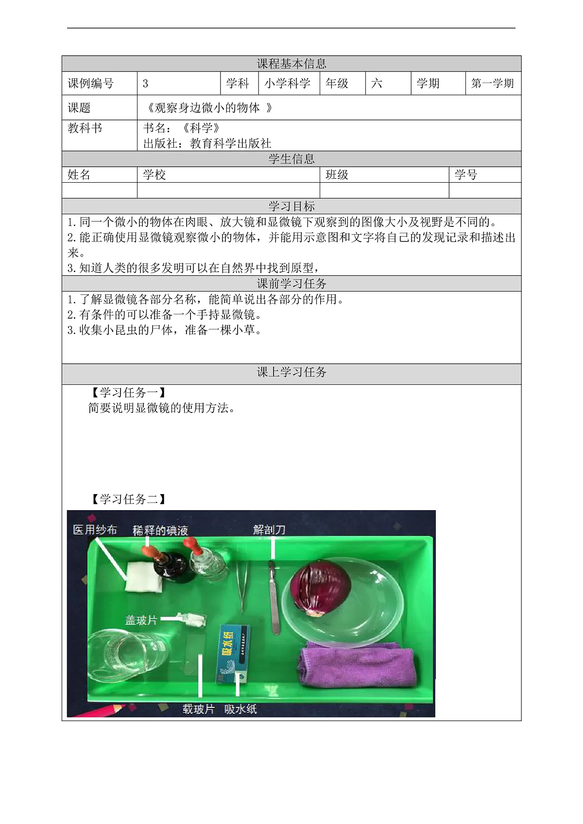新教科版（2017）科学六上1.3《观察身边微小的物体》学习任务单第2页