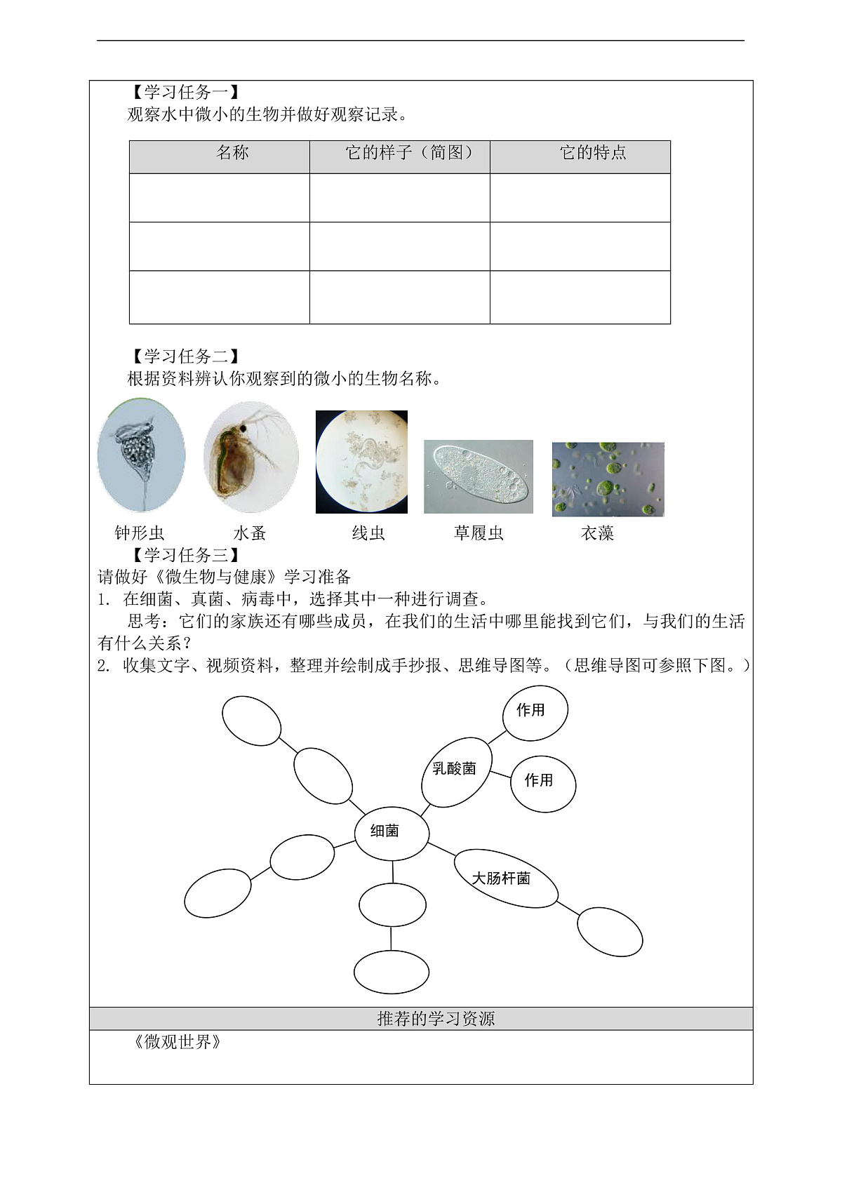 新教科版（2017）科学六上1.6《观察水中微小的生物》学习任务单第3页