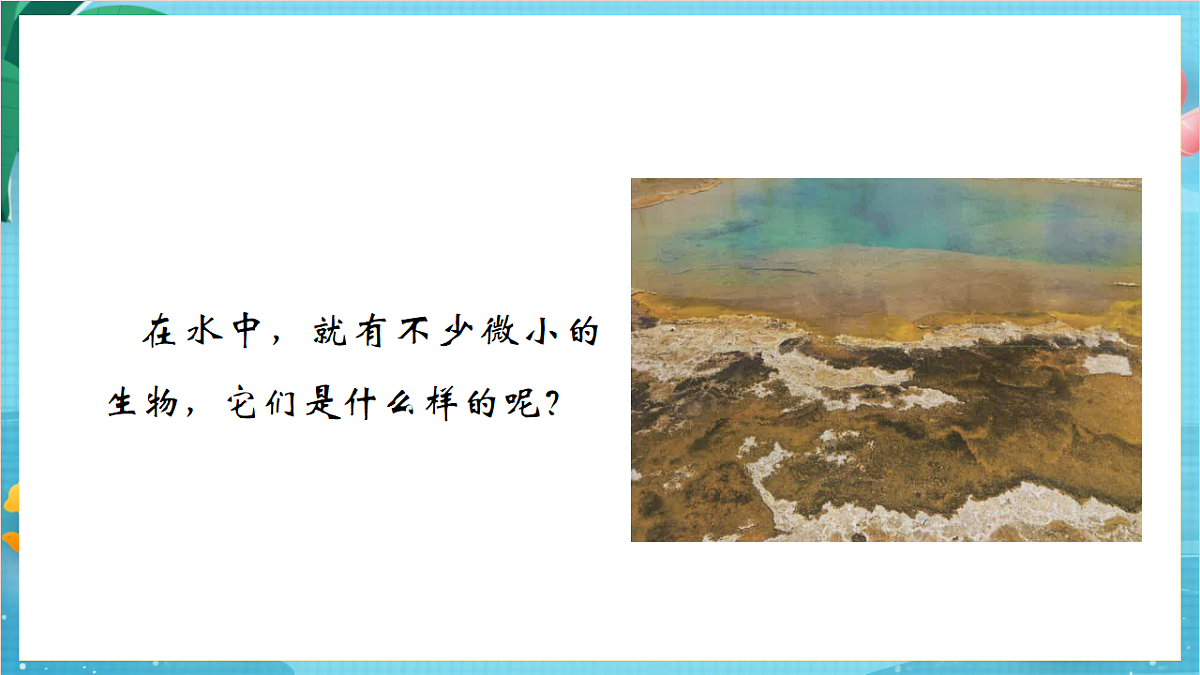 新教科版（2017）科学六上1.6《观察水中微小的生物》课件第5页