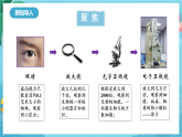 新教科版（2017）科學(xué)六上1.7《微生物與健康》課件+教案+學(xué)習(xí)任務(wù)單+課后練習(xí)+素材