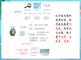 新教科版（2017）科學(xué)六上《微小世界》復(fù)習(xí)課件+課后練習(xí)+素材