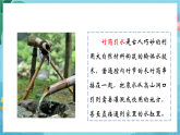 新教科版（2017）科學(xué)六上3.2《斜面》課件+教案+學(xué)習(xí)任務(wù)單+課后練習(xí)+素材