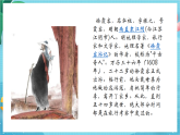 新教科版（2017）科學六上3.4《改變運輸?shù)能囕啞氛n件+教案+學習任務(wù)單+課后練習+素材