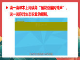 人教部編版道法四上 第十課《我們所了解的環(huán)境污染》第二課時(shí) 課件+素材