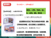 人教部編版政治七上 8.1《認(rèn)識(shí)生命》課件+教案+素材