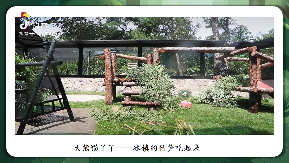 人教版（2019）高中生物必修一1.1 细胞是生命活动的基本单位 同课异构课件第5页