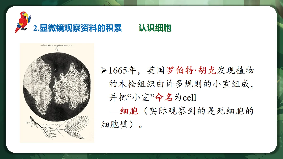 人教版（2019）高中生物必修一1.1 细胞是生命活动的基本单位 精讲课件第6页