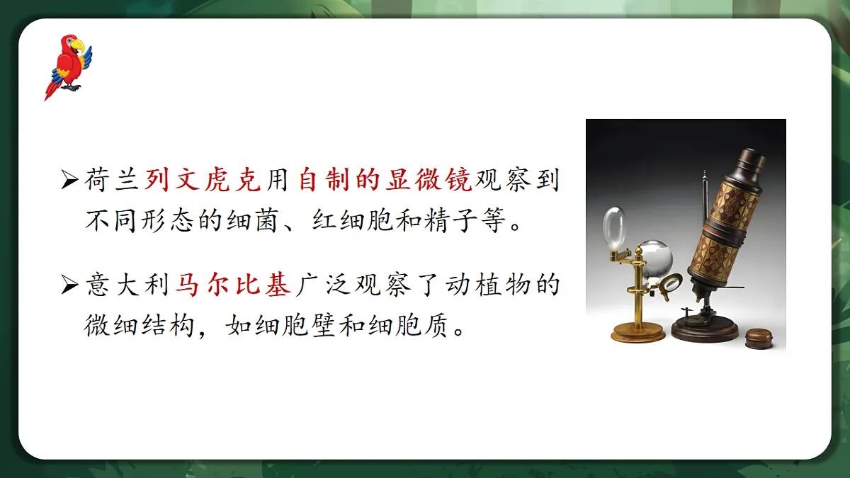 人教版（2019）高中生物必修一1.1 细胞是生命活动的基本单位 精讲课件第7页