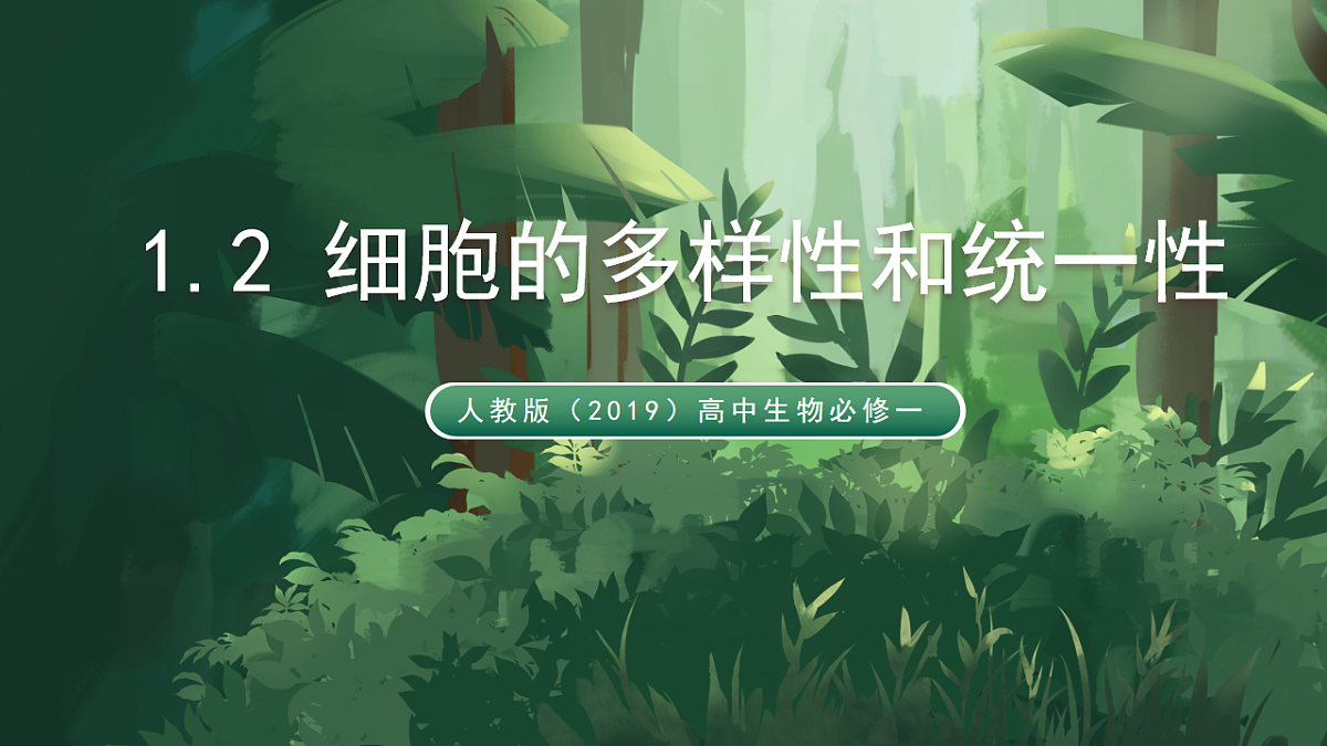 人教版（2019）高中生物必修一1.2 细胞的多样性和统一性 精讲课件第1页