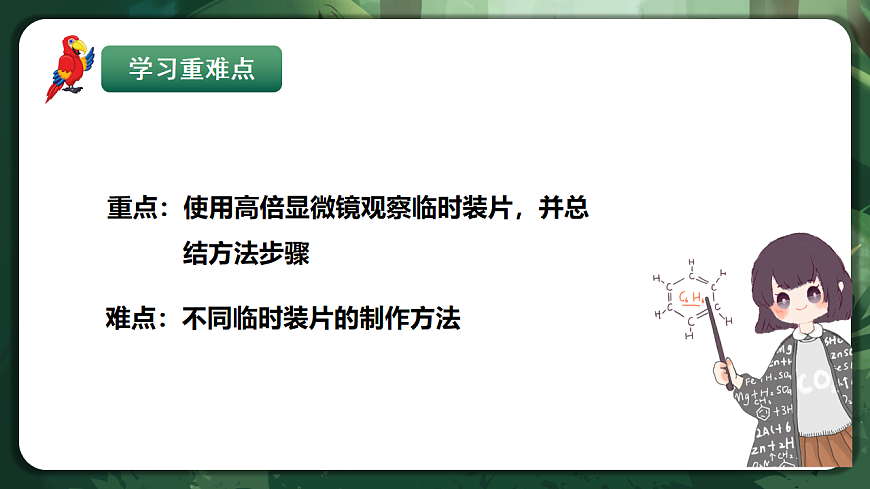 人教版（2019）高中生物必修一1.2 细胞的多样性和统一性（第1课时）同课异构课件第3页