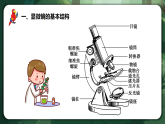 人教版（2019）高中生物必修一1.2 細(xì)胞的多樣性和統(tǒng)一性（第1課時）同課異構(gòu)課件