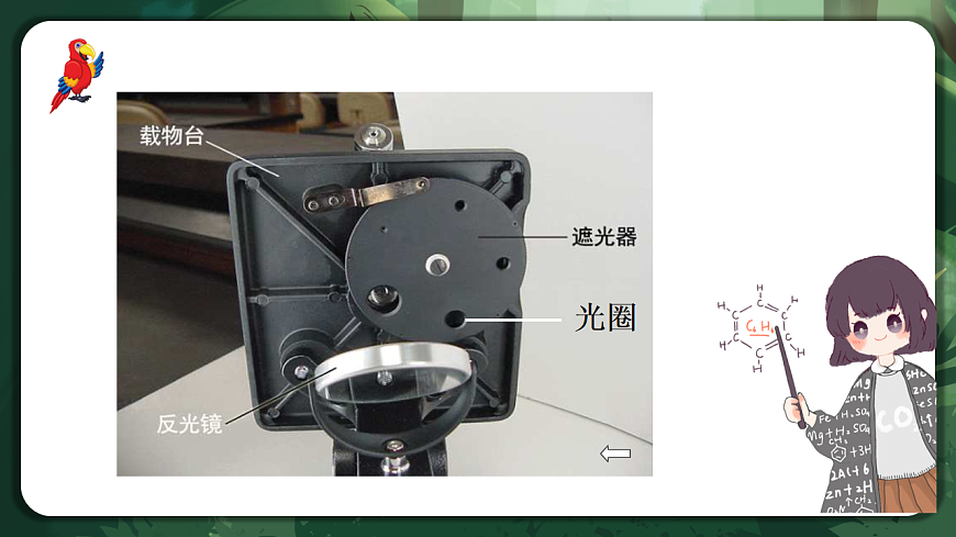 人教版（2019）高中生物必修一1.2 细胞的多样性和统一性（第1课时）同课异构课件第8页