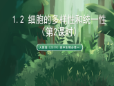 人教版（2019）高中生物必修一1.2 細(xì)胞的多樣性和統(tǒng)一性（第2課時）同課異構(gòu)課件