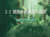 人教版（2019）高中生物必修一2.3 細(xì)胞中的糖類和脂質(zhì) 精講課件