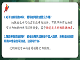人教版（2019）高中生物必修一2.3 細(xì)胞中的糖類和脂質(zhì) 精講課件