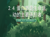人教版（2019）高中生物必修一2.4 蛋白質(zhì)是生命活動(dòng)的主要承擔(dān)者 精講課件
