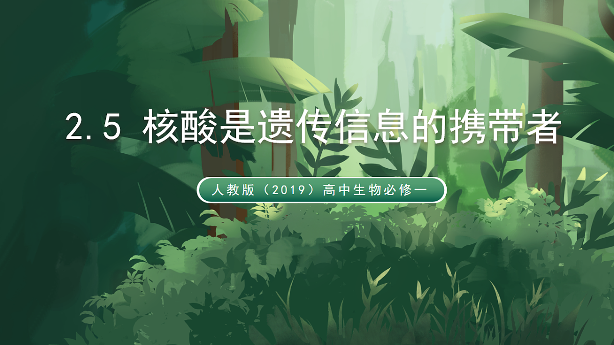 人教版（2019）高中生物必修一2.5 核酸是遗传信息的携带者 精讲课件第1页