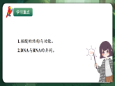 人教版（2019）高中生物必修一2.5 核酸是遺傳信息的攜帶者 精講課件