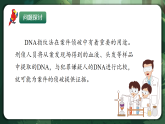 人教版（2019）高中生物必修一2.5 核酸是遺傳信息的攜帶者 精講課件