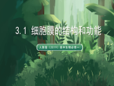 人教版（2019）高中生物必修一3.1 細(xì)胞膜的結(jié)構(gòu)和功能 精講課件