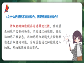 人教版（2019）高中生物必修一3.1 細(xì)胞膜的結(jié)構(gòu)和功能 精講課件