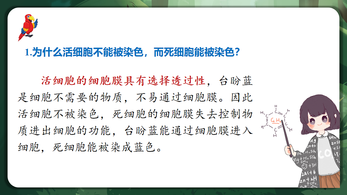 人教版（2019）高中生物必修一3.1 细胞膜的结构和功能 精讲课件第5页