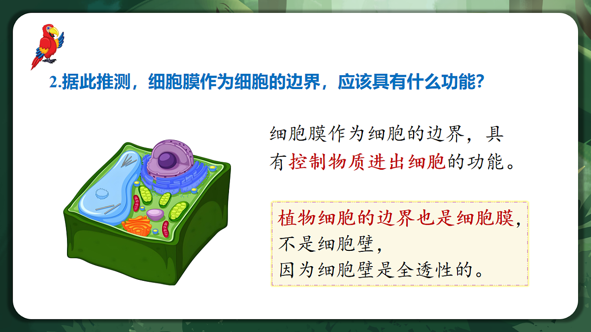 人教版（2019）高中生物必修一3.1 细胞膜的结构和功能 精讲课件第6页