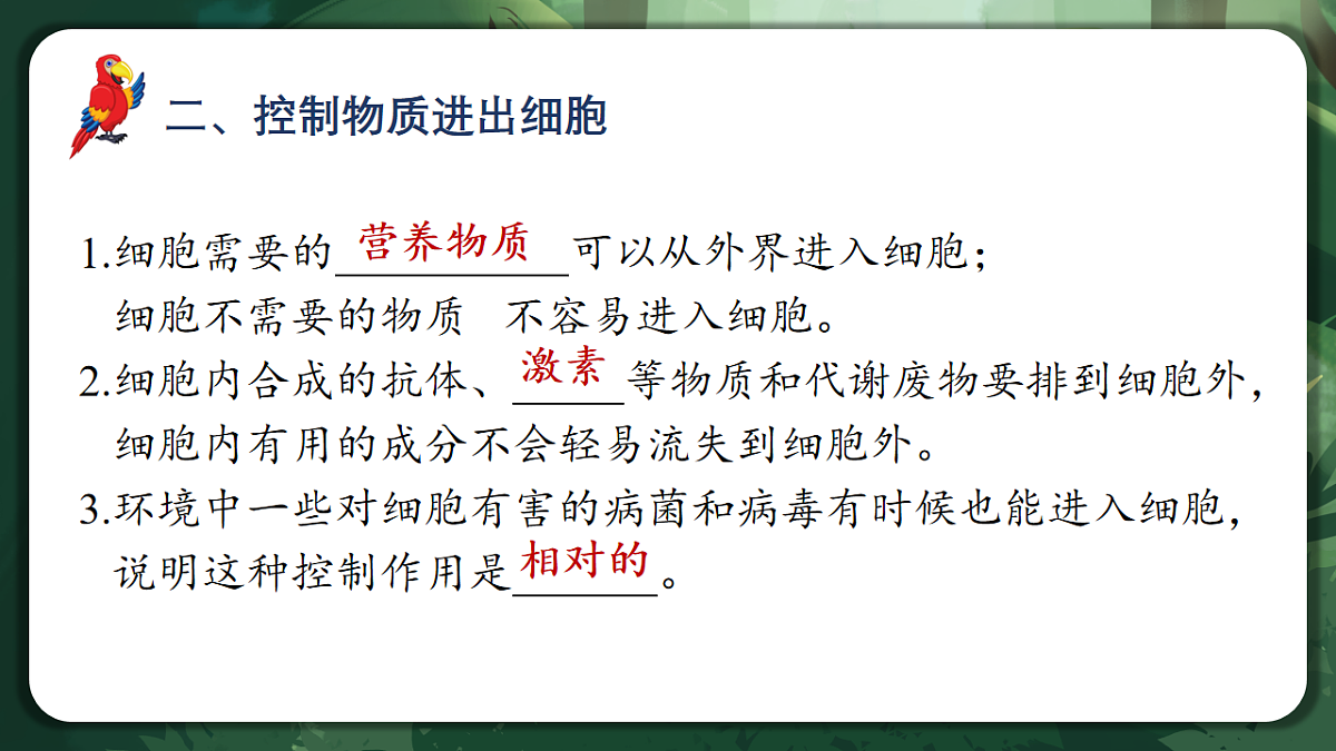人教版（2019）高中生物必修一3.1 细胞膜的结构和功能 精讲课件第8页