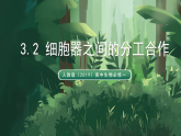 人教版（2019）高中生物必修一3.2 細(xì)胞器之間的分工合作 精講課件