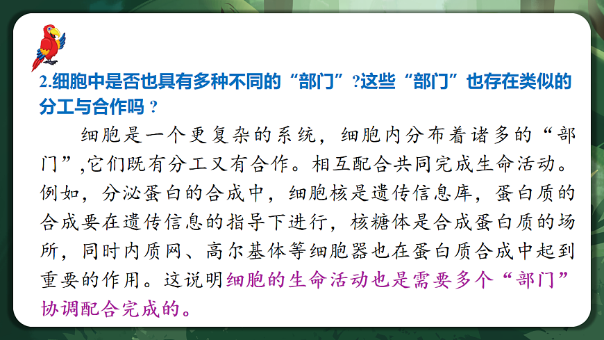 人教版（2019）高中生物必修一3.2 细胞器之间的分工合作 精讲课件第6页