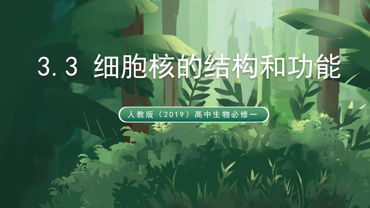 人教版（2019）高中生物必修一3.3 细胞核的结构和功能 精讲课件第1页