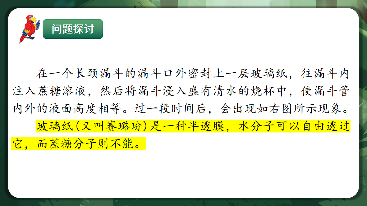 人教版（2019）高中生物必修一4.1 被动运输 精讲课件第5页