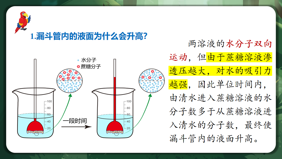 人教版（2019）高中生物必修一4.1 被动运输 精讲课件第6页