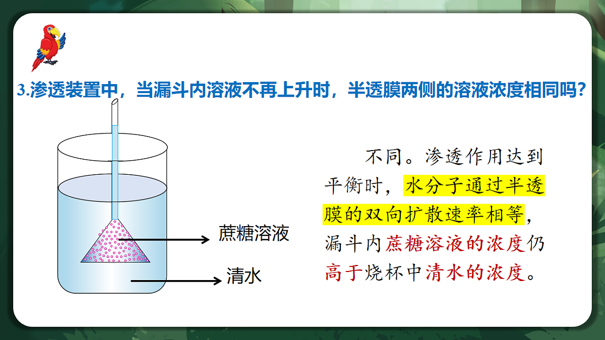 人教版（2019）高中生物必修一4.1 被动运输 精讲课件第8页