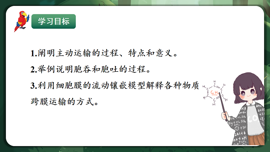 人教版（2019）高中生物必修一4.2 主动运输与胞吞、胞吐 精讲课件第2页