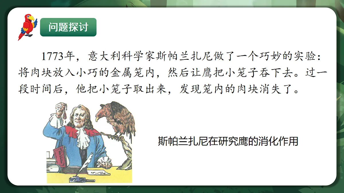 人教版（2019）高中生物必修一5.1 降低化学反应活化能的酶 精讲课件第4页