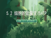 人教版（2019）高中生物必修一5.2 細(xì)胞的能量貨幣ATP 精講課件