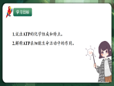 人教版（2019）高中生物必修一5.2 細(xì)胞的能量貨幣ATP 精講課件