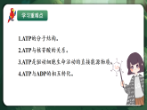人教版（2019）高中生物必修一5.2 細(xì)胞的能量貨幣ATP 精講課件