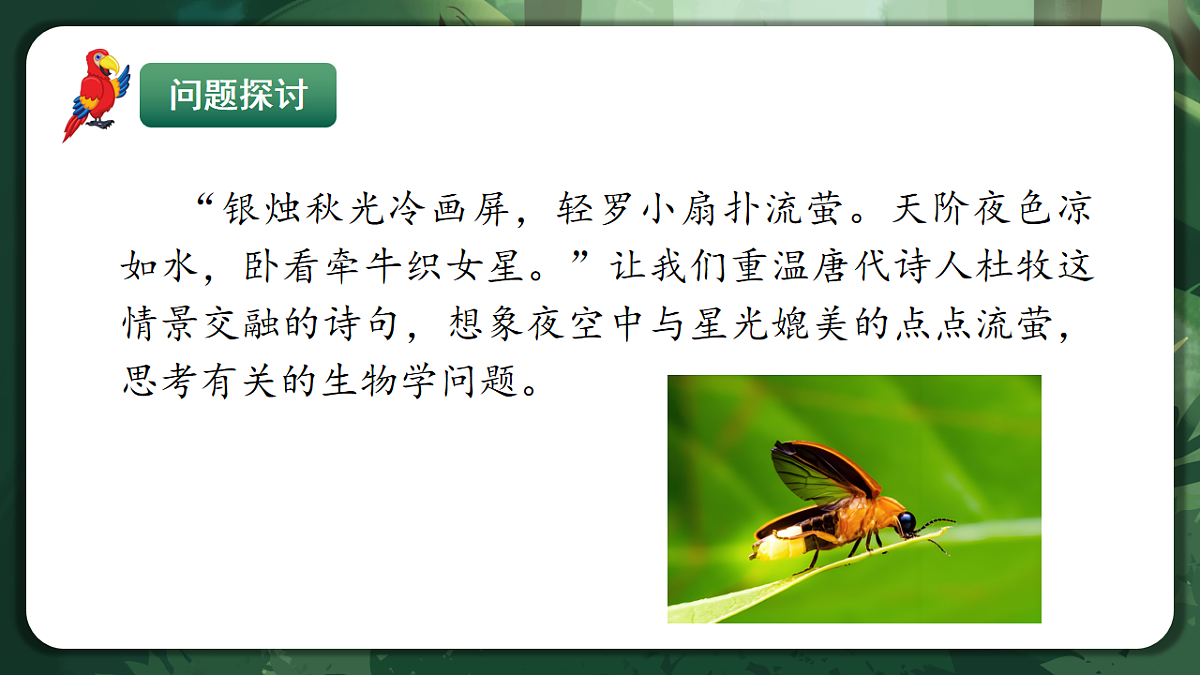 人教版（2019）高中生物必修一5.2 细胞的能量货币ATP 精讲课件第4页