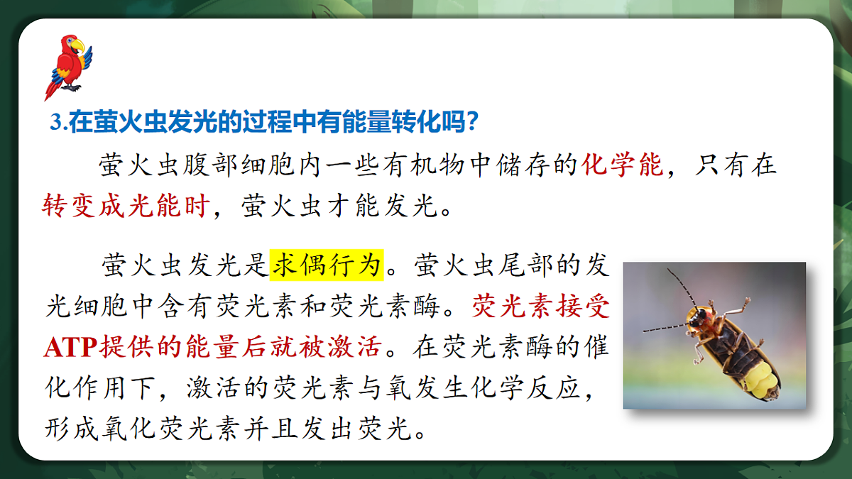 人教版（2019）高中生物必修一5.2 细胞的能量货币ATP 精讲课件第6页