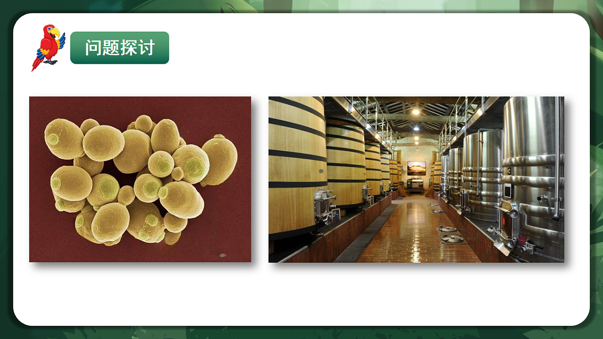 人教版（2019）高中生物必修一5.3 细胞呼吸的原理和应用 精讲课件第4页