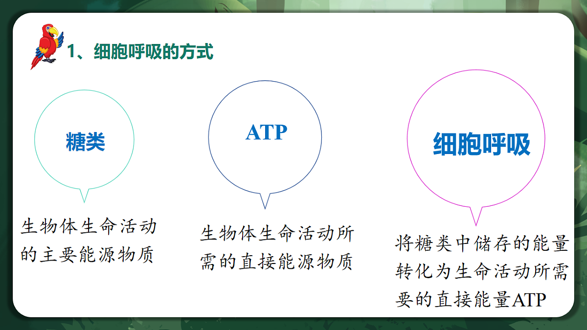 人教版（2019）高中生物必修一5.3 细胞呼吸的原理和应用 精讲课件第8页