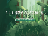 人教版（2019）高中生物必修一5.4.1 捕獲光能的色素和結(jié)構(gòu) 精講課件