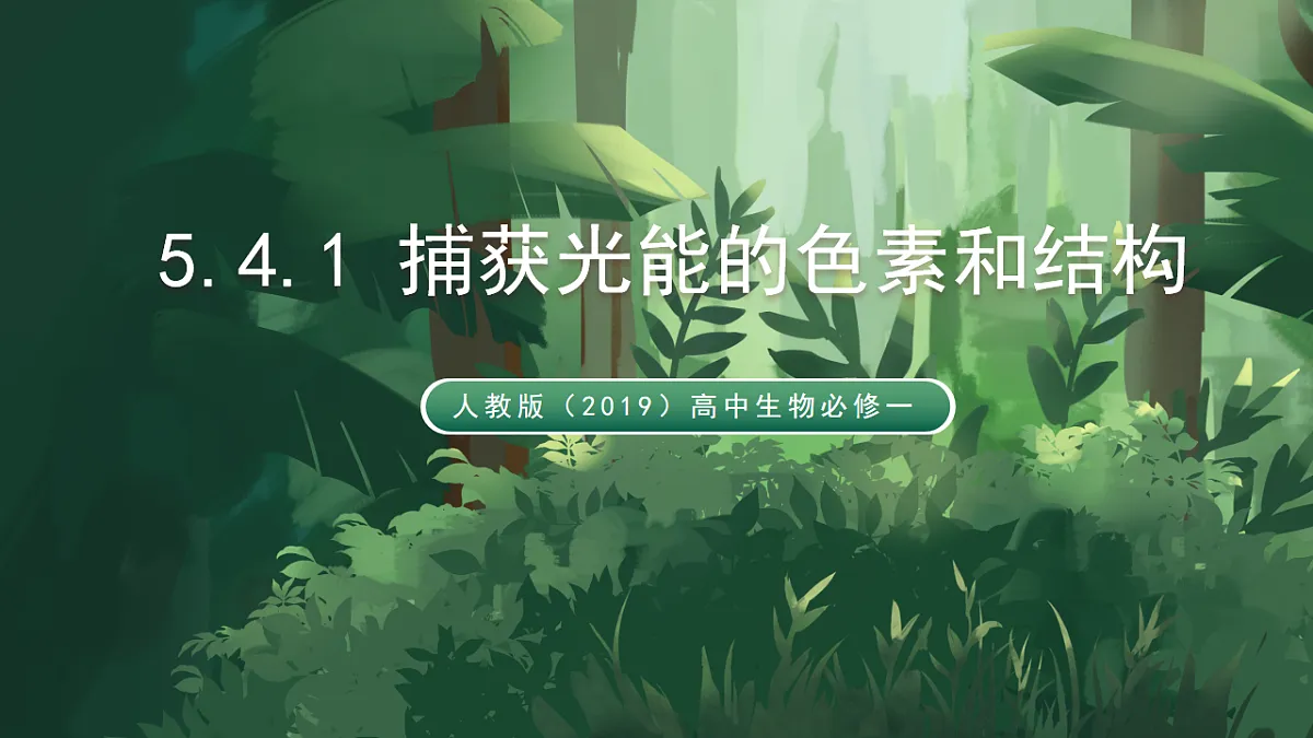 人教版（2019）高中生物必修一5.4.1 捕获光能的色素和结构 精讲课件第1页